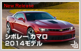�Ƹ�BLOG